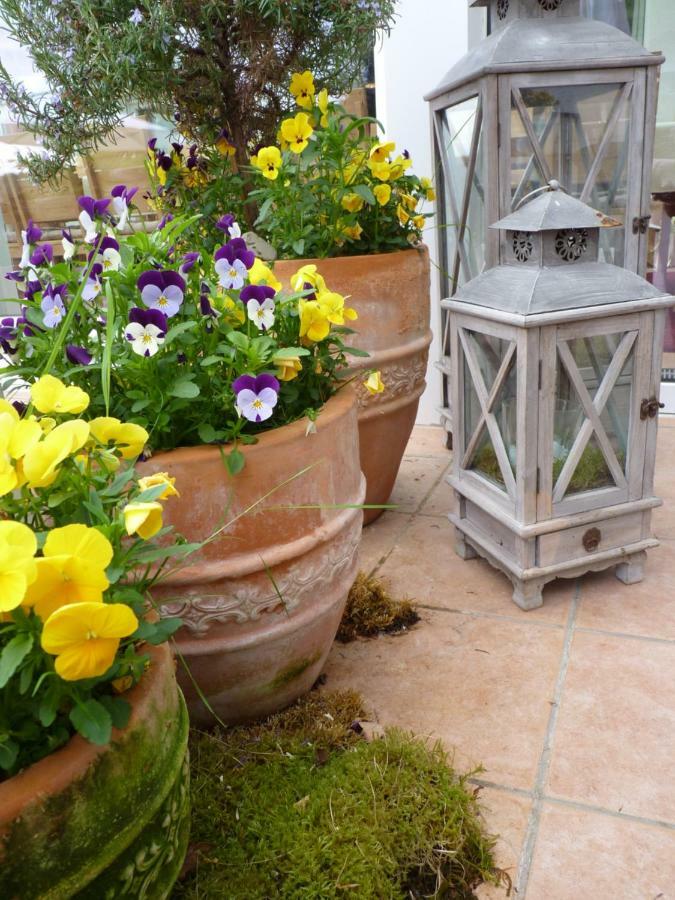 Bed & Breakfast Bergterrasse