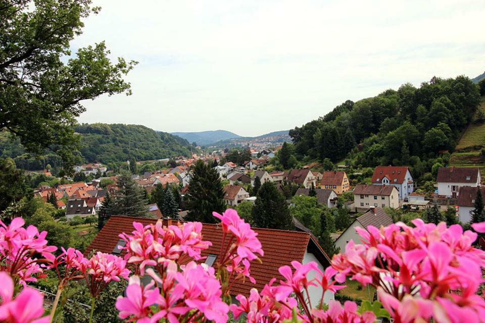 Bed and breakfast Bergterrasse